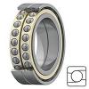 NTN 7311BL1GD2/GNPX5 Precision Ball Bearings